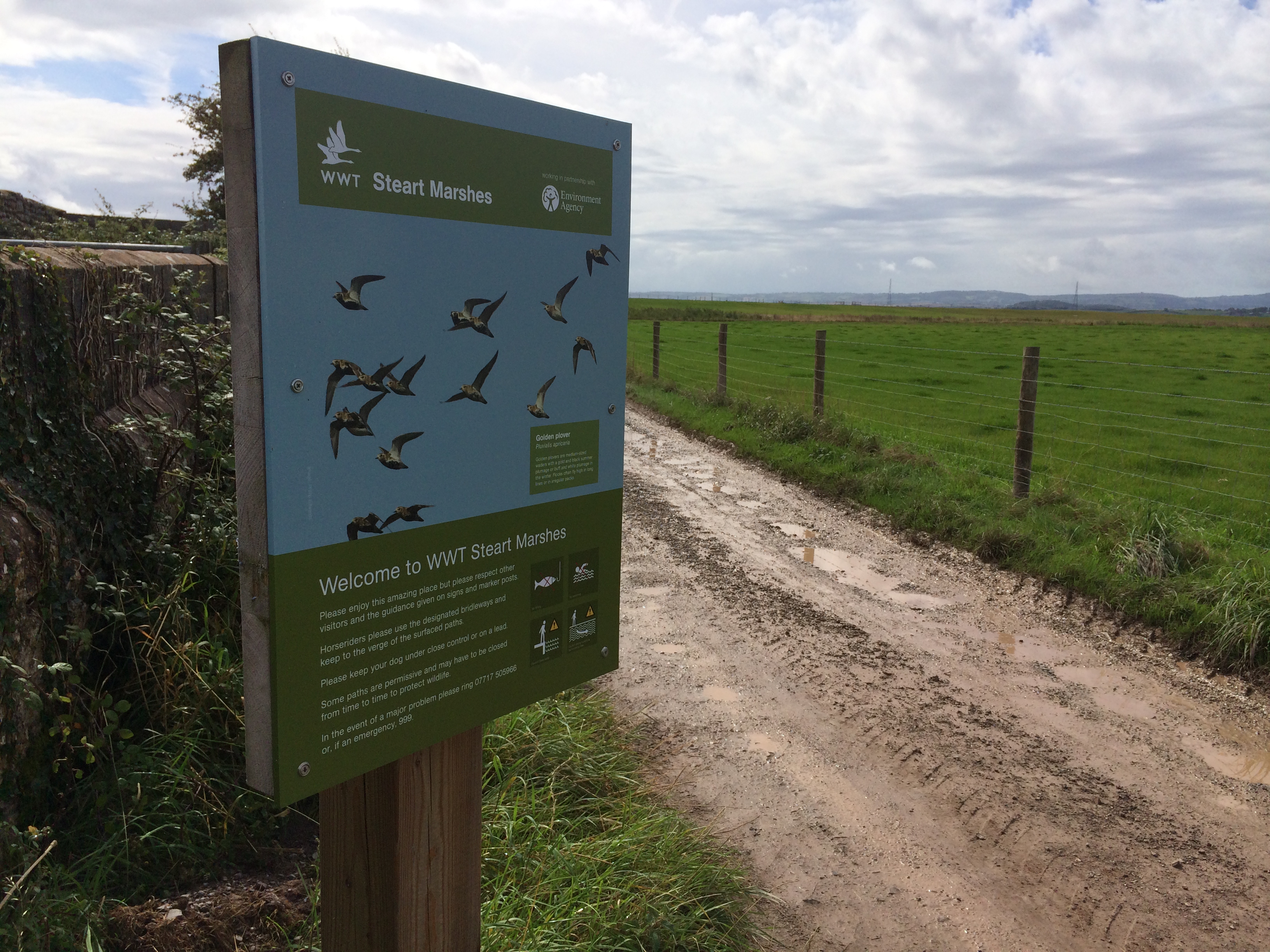 Flight of Fancy - Parc Signs