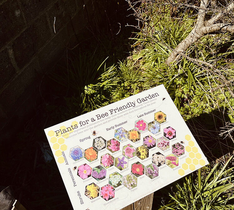Rooted in Community: Signage for Cornubia